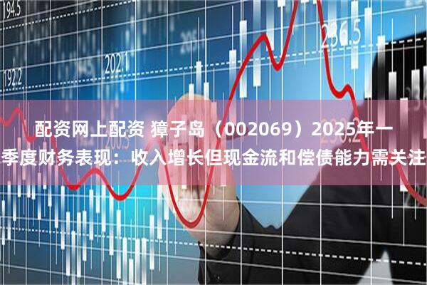 配资网上配资 獐子岛（002069）2025年一季度财务表现：收入增长但现金流和偿债能力需关注
