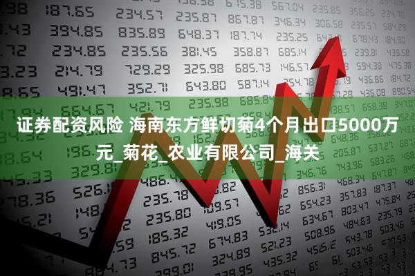 证券配资风险 海南东方鲜切菊4个月出口5000万元_菊花_农业有限公司_海关