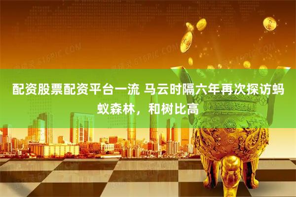 配资股票配资平台一流 马云时隔六年再次探访蚂蚁森林，和树比高