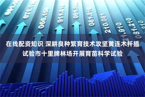 在线配资知识 深耕良种繁育技术攻坚黄连木扦插试验市十里牌林场开展育苗科学试验