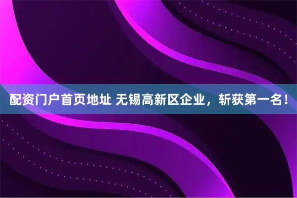 配资门户首页地址 无锡高新区企业，斩获第一名！