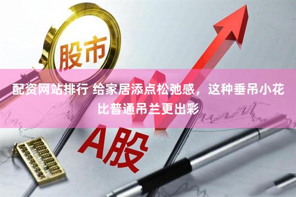 配资网站排行 给家居添点松弛感，这种垂吊小花比普通吊兰更出彩